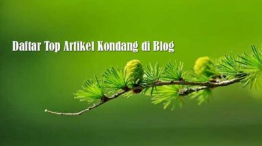 Daftar Top Artikel Kondang di Blog